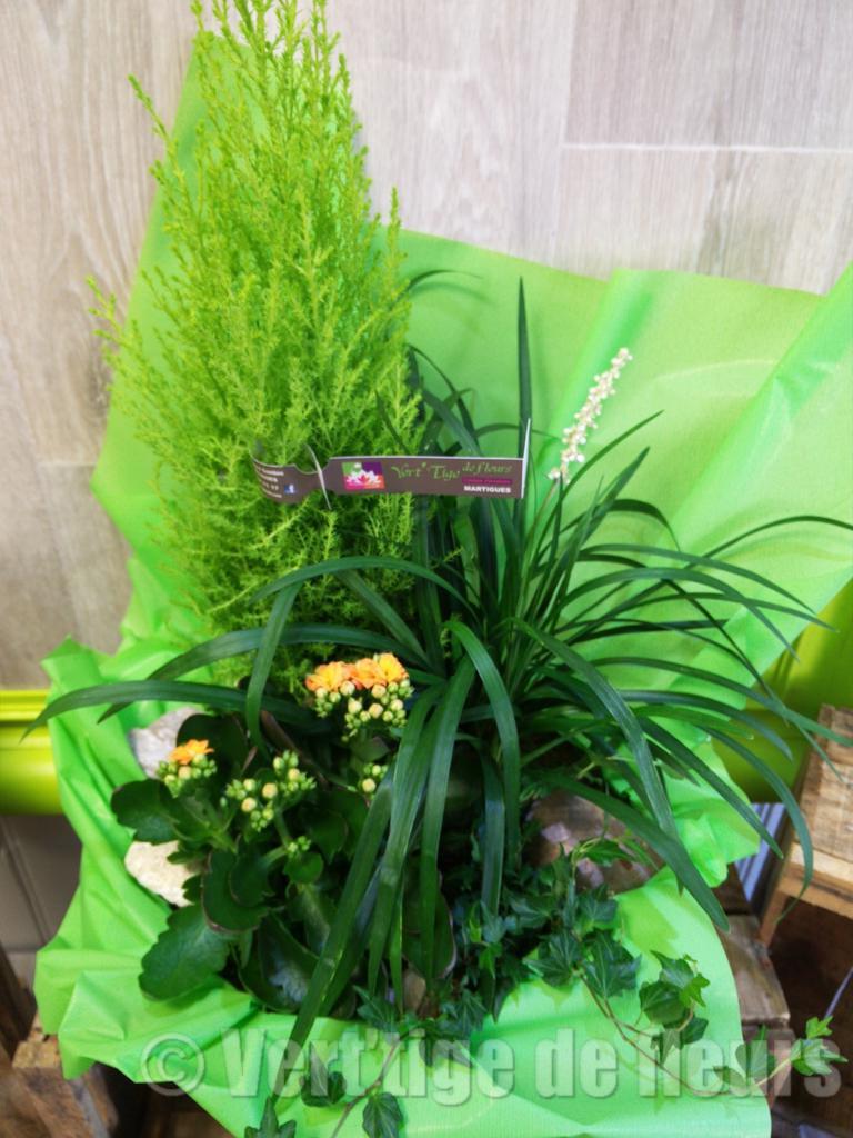 Coupe de plantes exterieure Vert Tige de fleurs