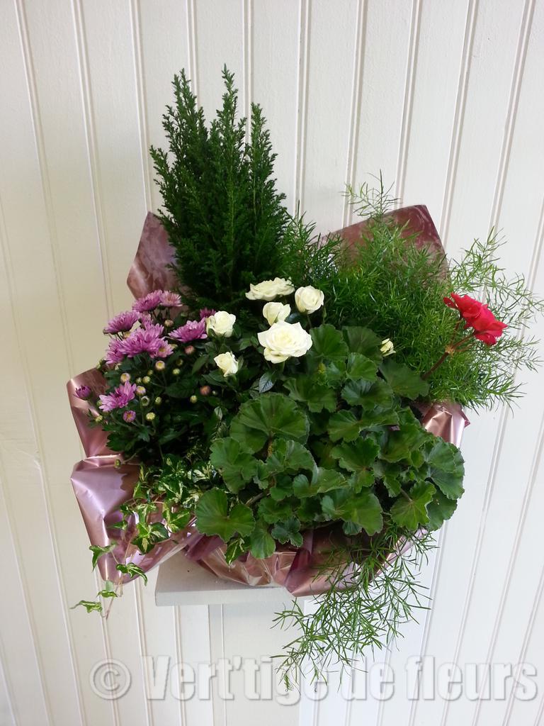 Coupe de plantes exterieure Vert Tige de fleurs