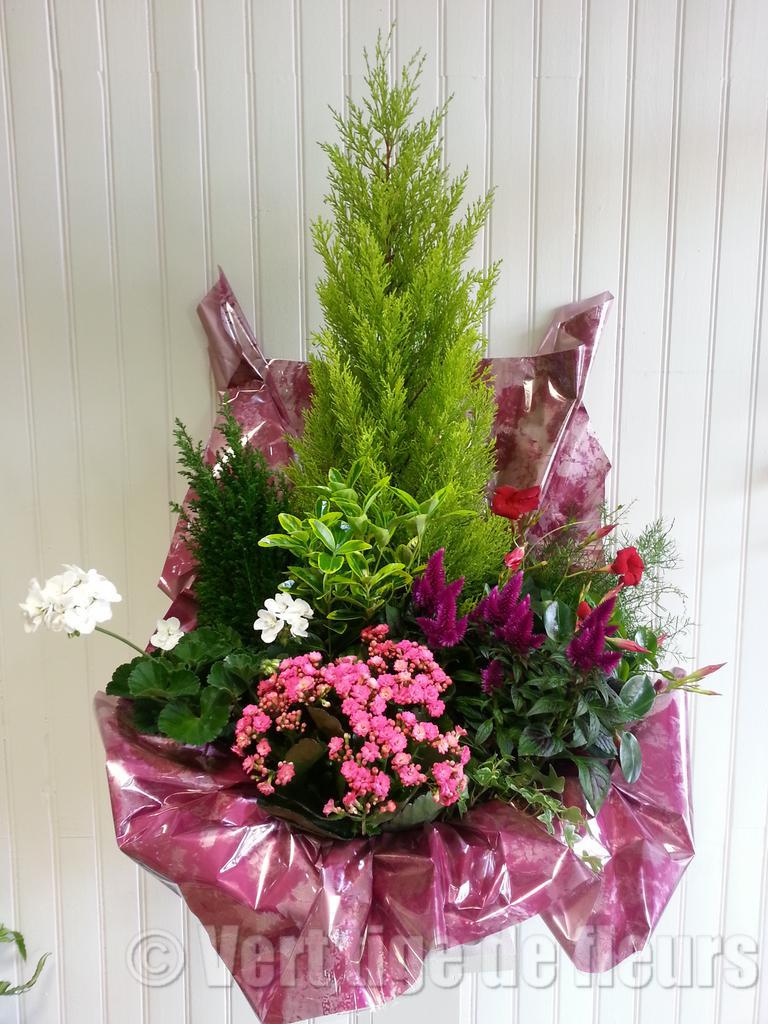 Coupe de plantes exterieure Vert Tige de fleurs