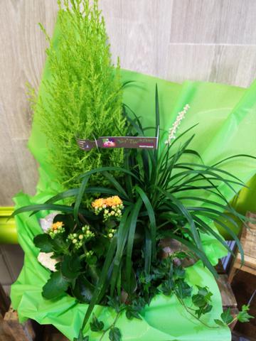 Coupe de plantes exterieure Vert Tige de fleurs