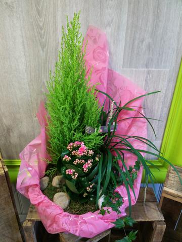 Coupe de plantes exterieure Vert Tige de fleurs