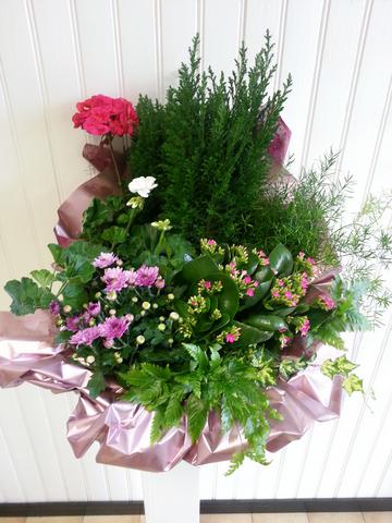 Coupe de plantes exterieure Vert Tige de fleurs