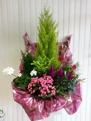 Coupe de plantes exterieure Vert Tige de fleurs