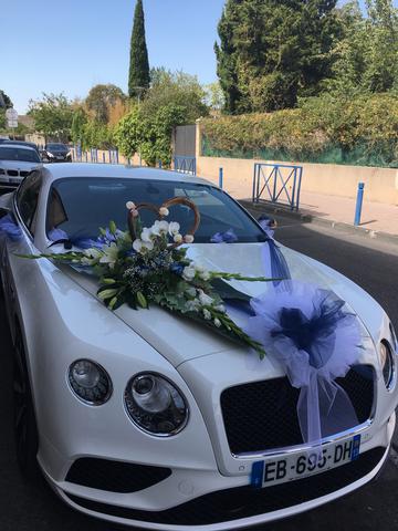 Bentley Vert tige de fleurs martigues