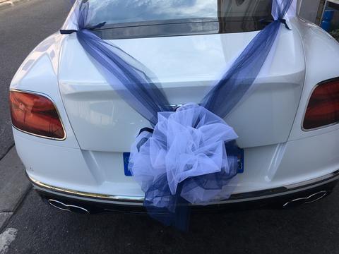 Bentley Vert tige de fleurs martigues