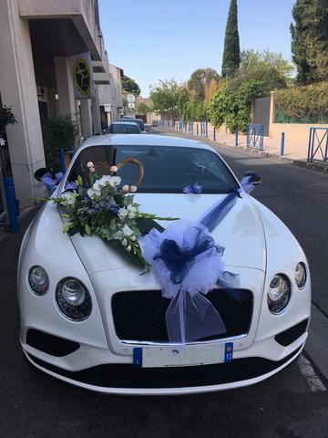 Bentley Vert tige de fleurs martigues