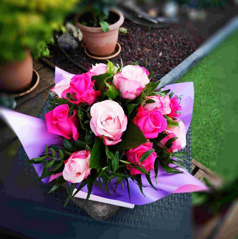 Duo de rose 