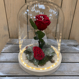Cloche La belle et la bete led