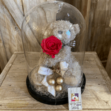 Cloche Ourson Harry et rose eternelle Rouge