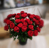 Rose à la Pièce